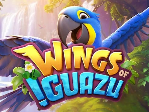 Wings of Iguazu